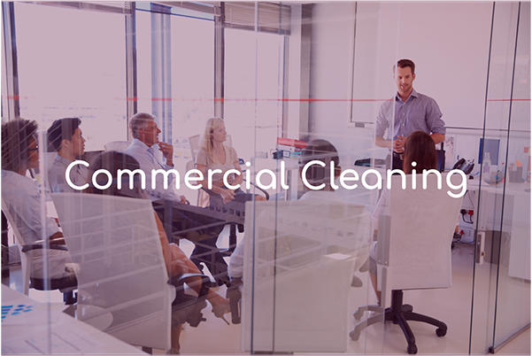 Plum Commercial Cleaning